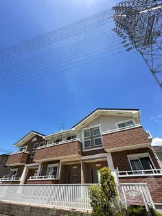 ネオ トークの画像