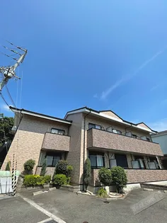 フォチュネイトの画像