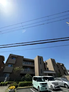 ベルナードサーモスの画像