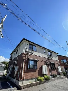 デイジーの画像