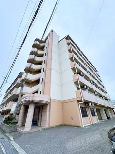 マメゾン21の画像