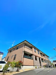 ザ グレースの画像