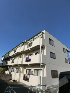 サン ガーデンの画像