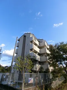 シャルマンフジ大体大【5階】の外観