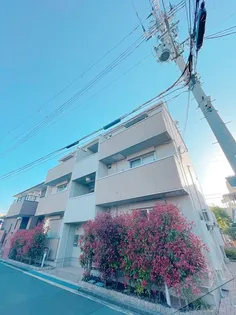 エムズ パリオの画像