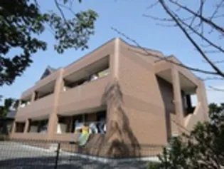 MSコートの画像