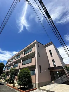 えるどらどの画像