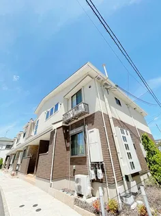 グレイスリーフ葵の画像