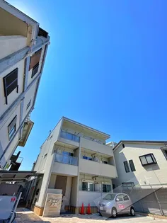 ゴールイン岸城の画像