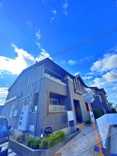 ザオバーレイⅡの画像