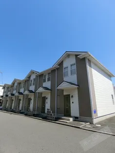 サラセニアの画像