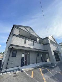 シャインニッチの画像