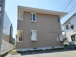 シエルTの画像