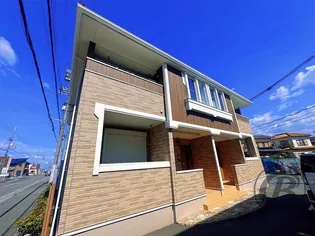 すいせんの画像