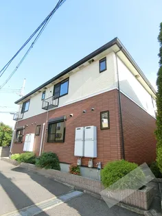 デイジーの画像