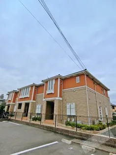 プリムローズ二色IIの画像