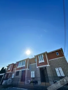 プリムローズ二色IIの画像