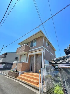 メイプルの画像