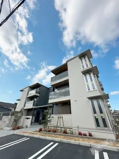 TIMBER BROOKの画像