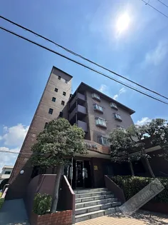 パストラル羽衣の画像