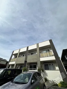 Y'S COURTの画像