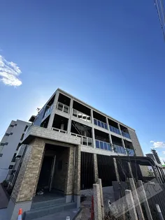 ベル ハイネスの画像