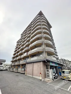 ももちゃんヒルズ和泉の画像