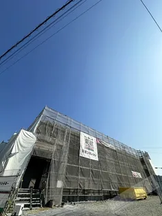 マリーノ二色の画像