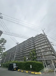 岸和田コーポラス3号棟の画像