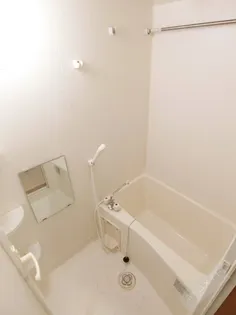 フジパレス式内町Ⅲ番館【2階】の風呂