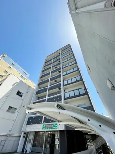 グレースエビスの画像