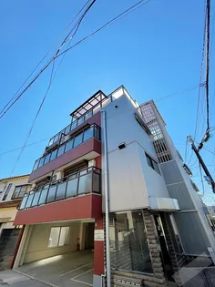 パームコートモズの画像