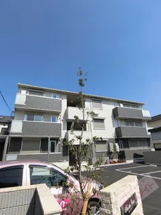 ラディアコートの画像