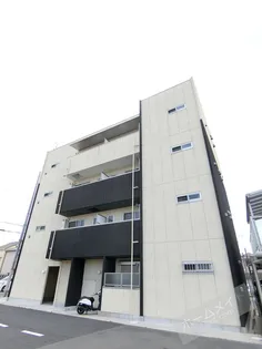 エヌエムトラントキャトフの画像