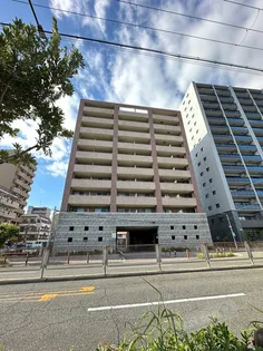 KAISEI堺【6階】の外観