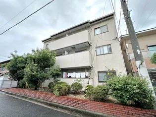 スウィートシャルムの画像
