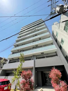 ソフィア Kの画像