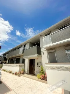 アローラの画像