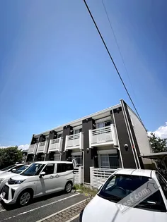 レオネクストルーナの画像