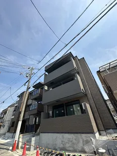D PORTA CACTOの画像