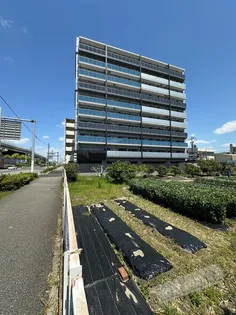 SーRESIDENCE堺浜寺BROADの画像