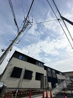 ポポラーレの画像