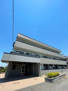 エストグリーンの画像