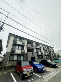 センチュリーコートの画像