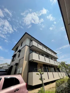 ハイカムール梅寿の画像