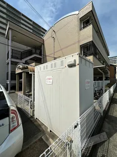 パインアベニューの画像