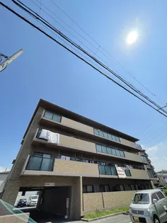 パルテール中もずの画像