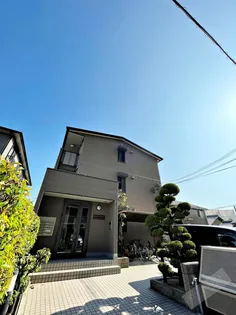 プラムコートの画像