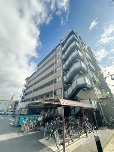 フレア ブローリーの画像