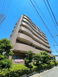 フローリッシュの画像